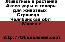 Животные и растения Аксесcуары и товары для животных - Страница 2 . Челябинская обл.,Миасс г.